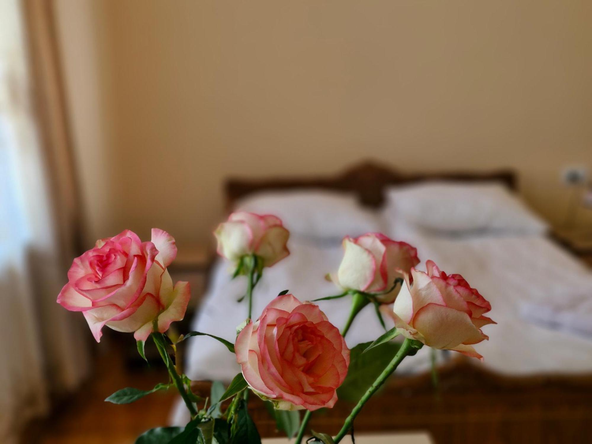 Guest House David'S B&B Gyumri Esterno foto