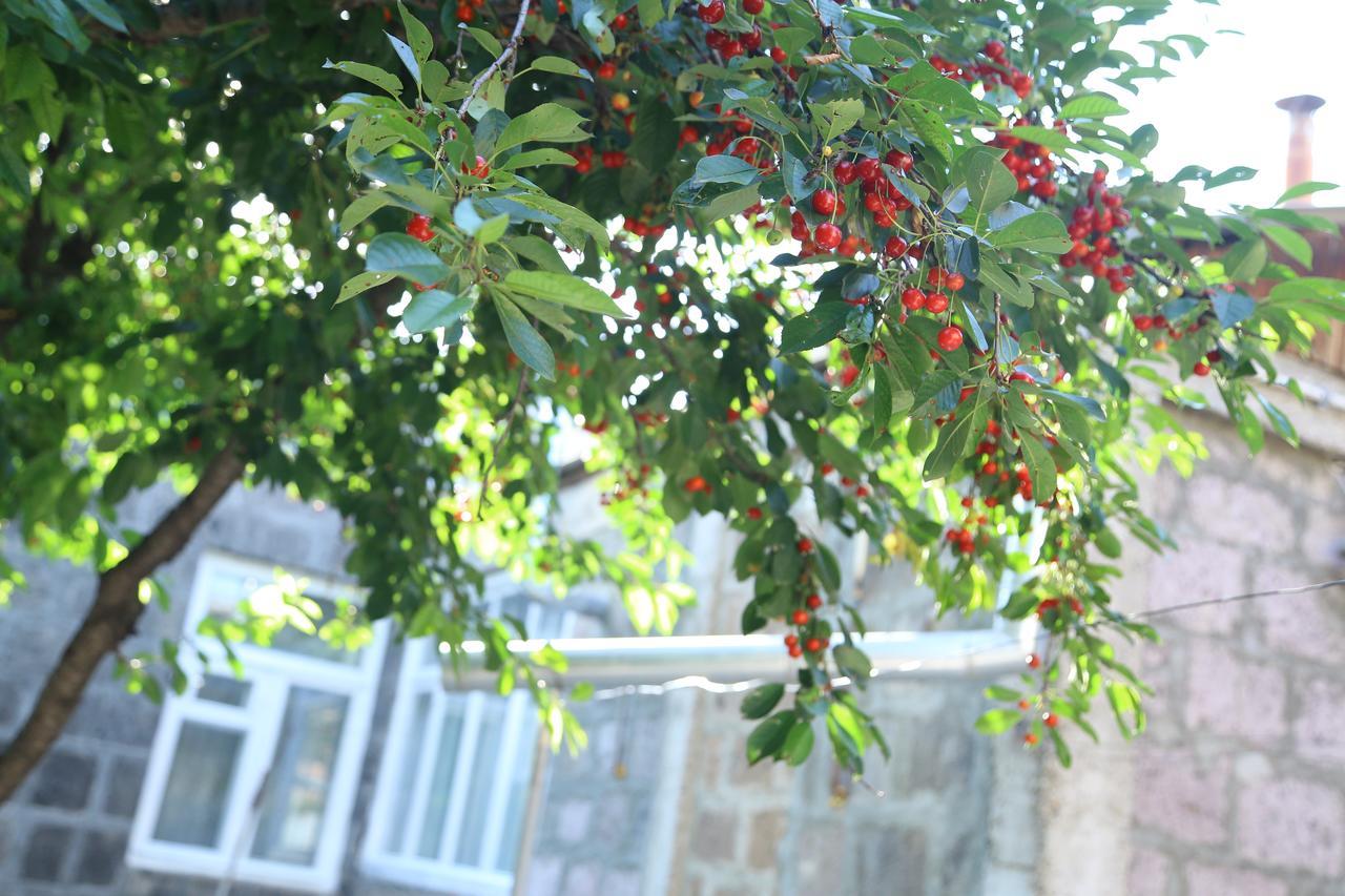 Guest House David'S B&B Gyumri Esterno foto